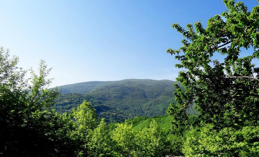 Hotel Vrionis Áyios Dhimítrios Kültér fotó